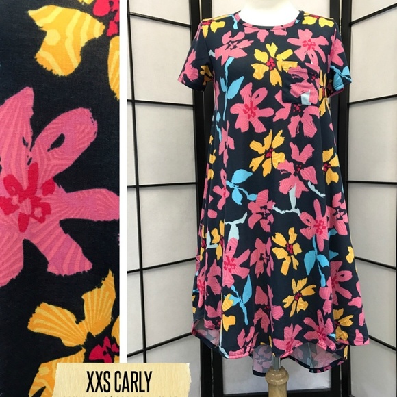 LuLaRoe Dresses & Skirts - FLASH SALE! NWT LuLaRoe Carly Dress